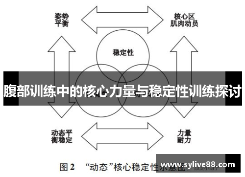 腹部训练中的核心力量与稳定性训练探讨