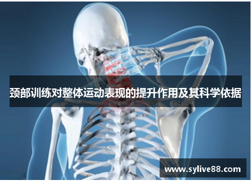 颈部训练对整体运动表现的提升作用及其科学依据